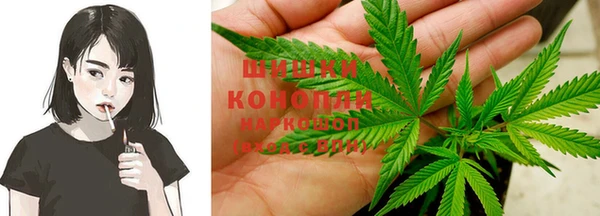 твердый Дмитриев