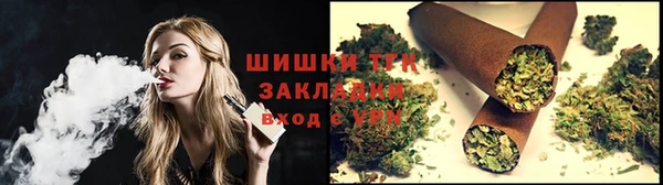 индика Дмитровск