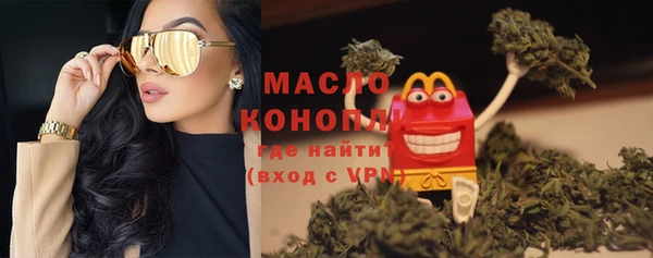 индика Дмитровск