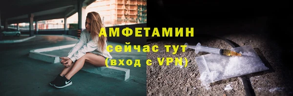 индика Дмитровск