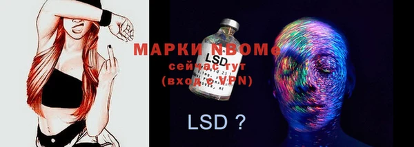 индика Дмитровск