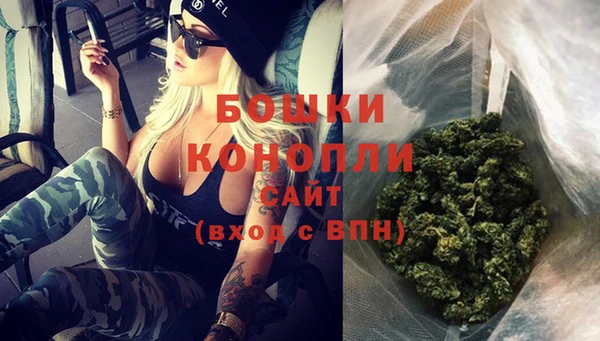 индика Дмитровск