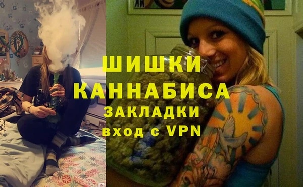 твердый Дмитриев