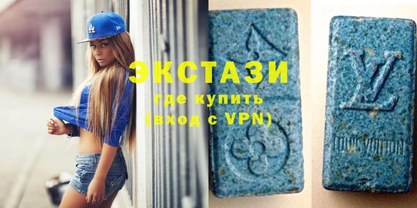 индика Дмитровск