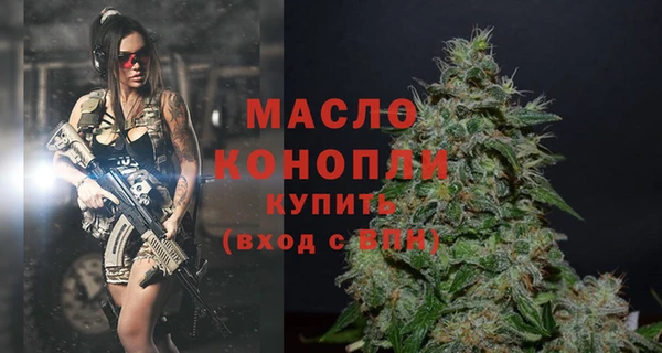 твердый Дмитриев