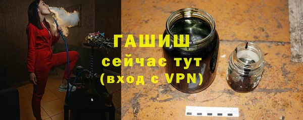 индика Дмитровск