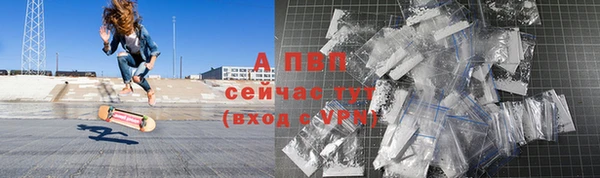 индика Дмитровск
