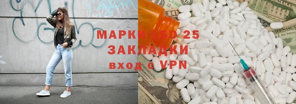 индика Дмитровск